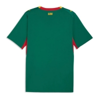 Camiseta Senegal Segunda Equipación Replica Mundial 2026 mangas cortas
